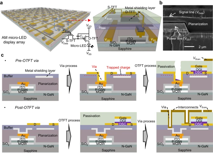 Researchers develop new method for OTFT integration in microLED planes ...